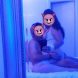 Pareja 2930 matrimonio, 34 years old, Puente Alto, Chile